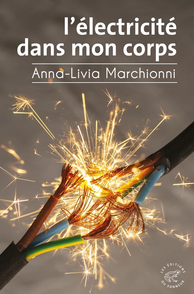 L'Électricité dans mon corps 9782373853421