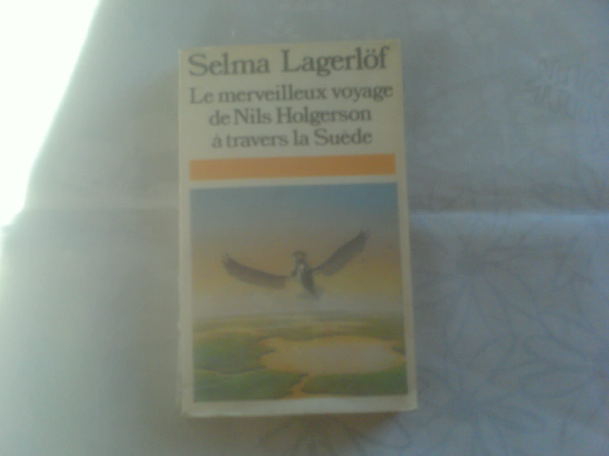 Le Merveilleux voyage de Nils Holgersson à travers la Suède 9782266012706