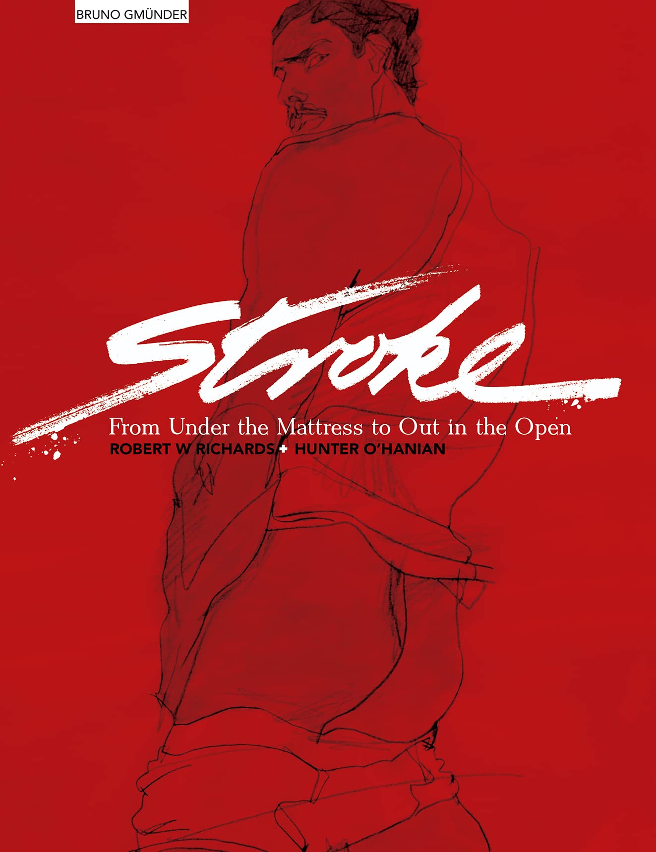 Stroke: From Under the Mattress to Out in the Open 9783867878364