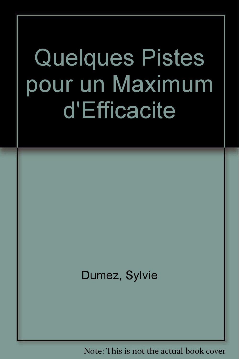 Quelques Pistes Pour Un Maximum D'Efficacite 9782866372453