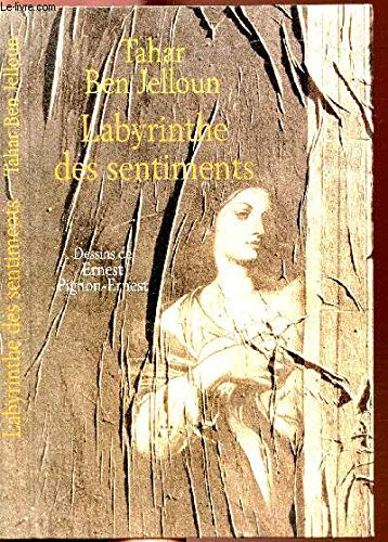 Labyrinthe des sentiments 9782702840054