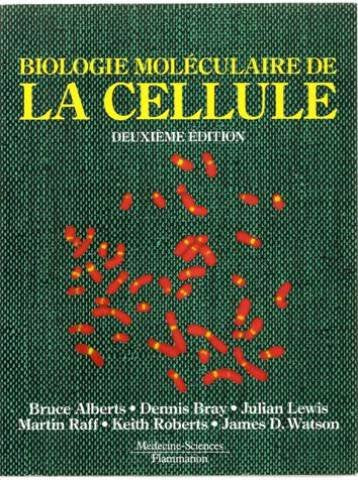 Dictionnaire De Medecine Flammarion. 5eme Edition 9782257153999