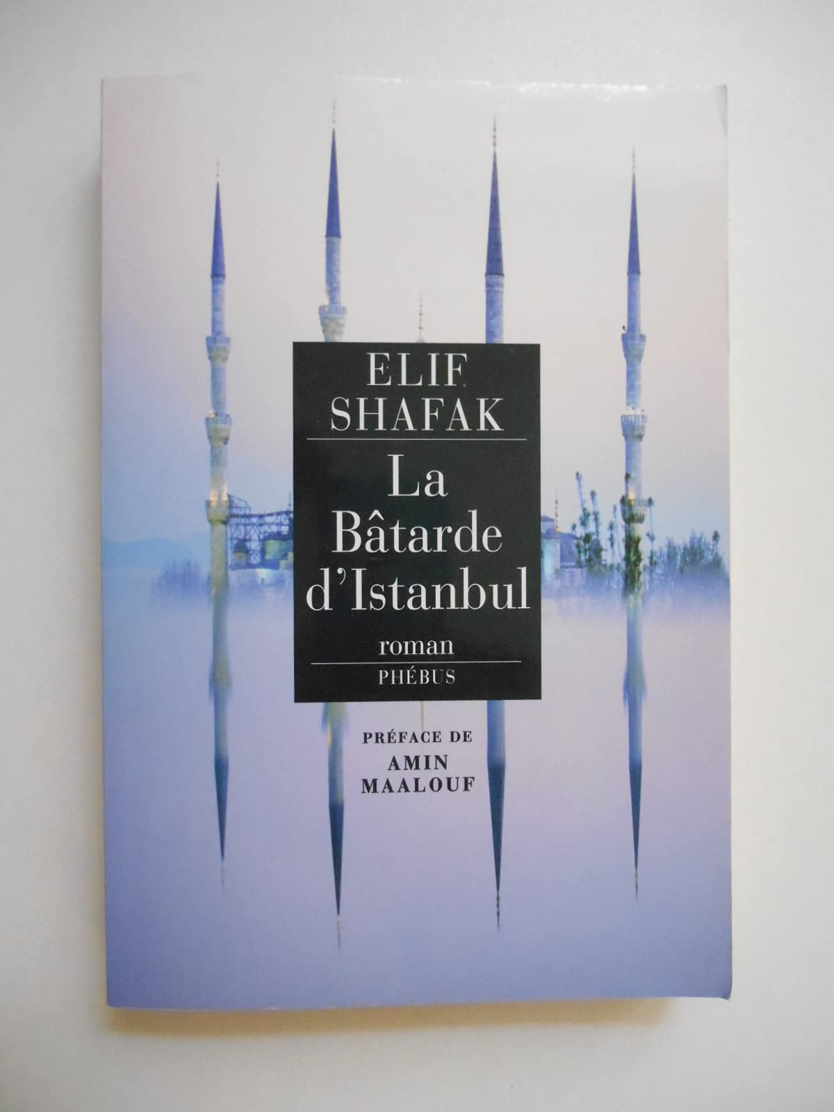 La Bâtarde d'Istanbul 9782752902788