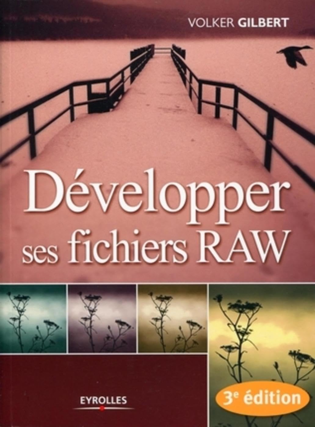 Développer ses fichiers RAW 9782212122831