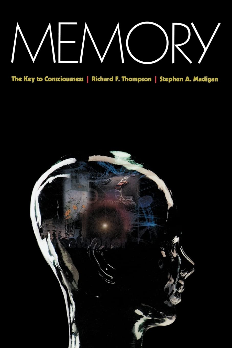 Memory 9780691133119