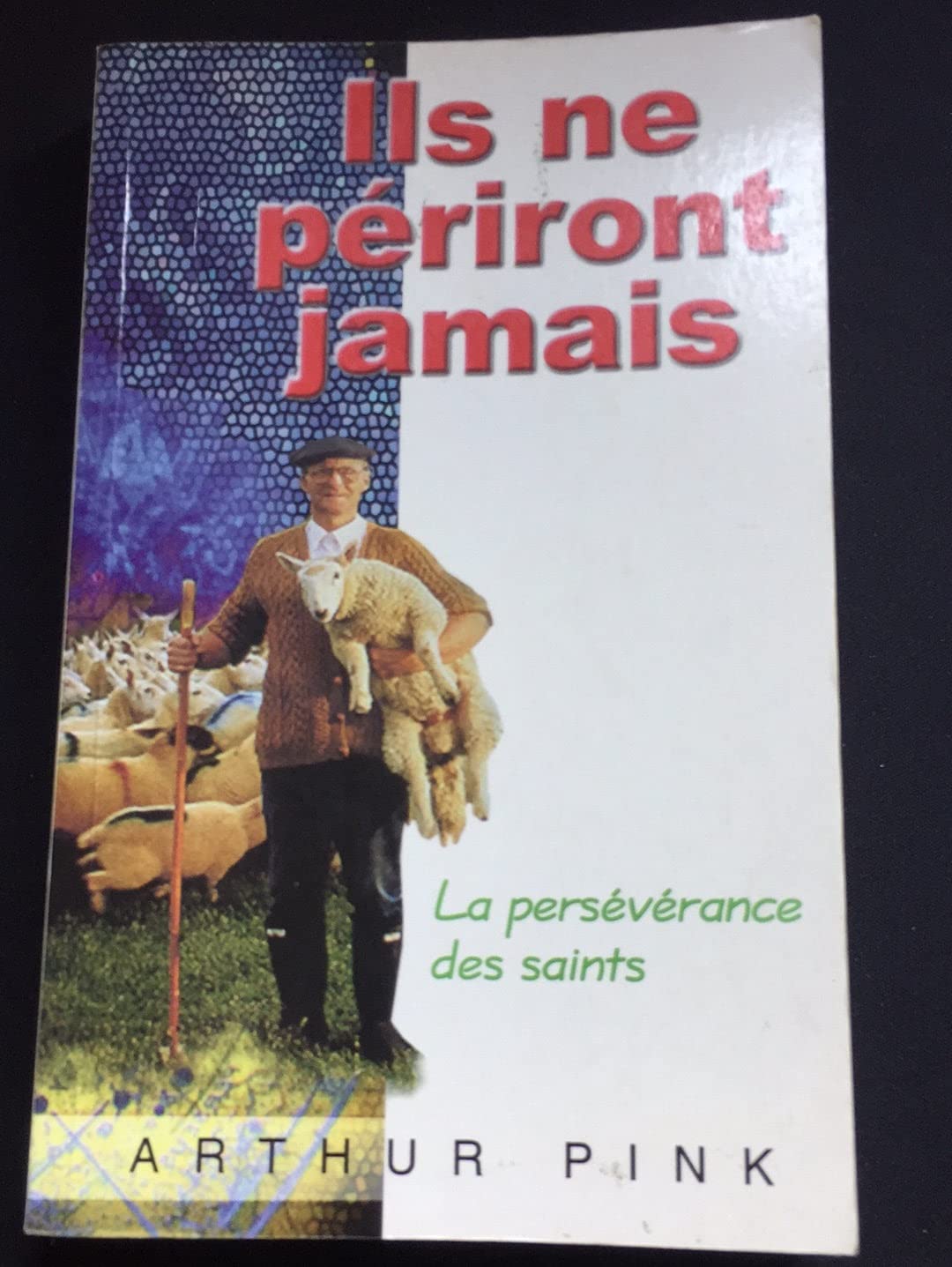 Ils ne périront jamais: La persévérance des saints 9782906287914
