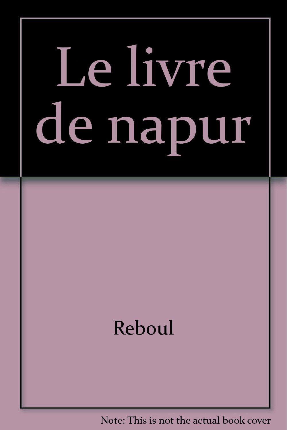 Le livre de napur 9782210988354
