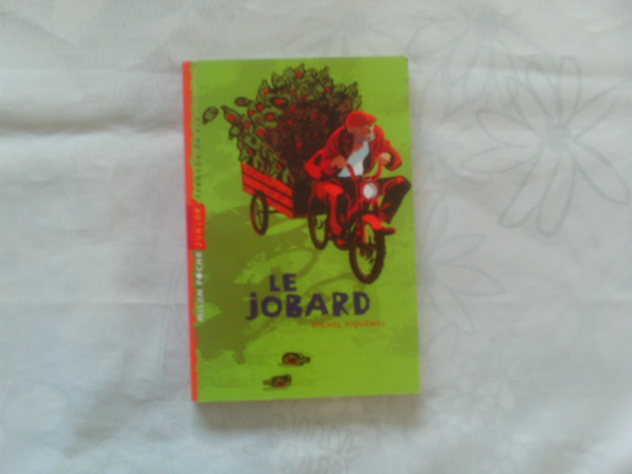 Le jobard 9782745925169