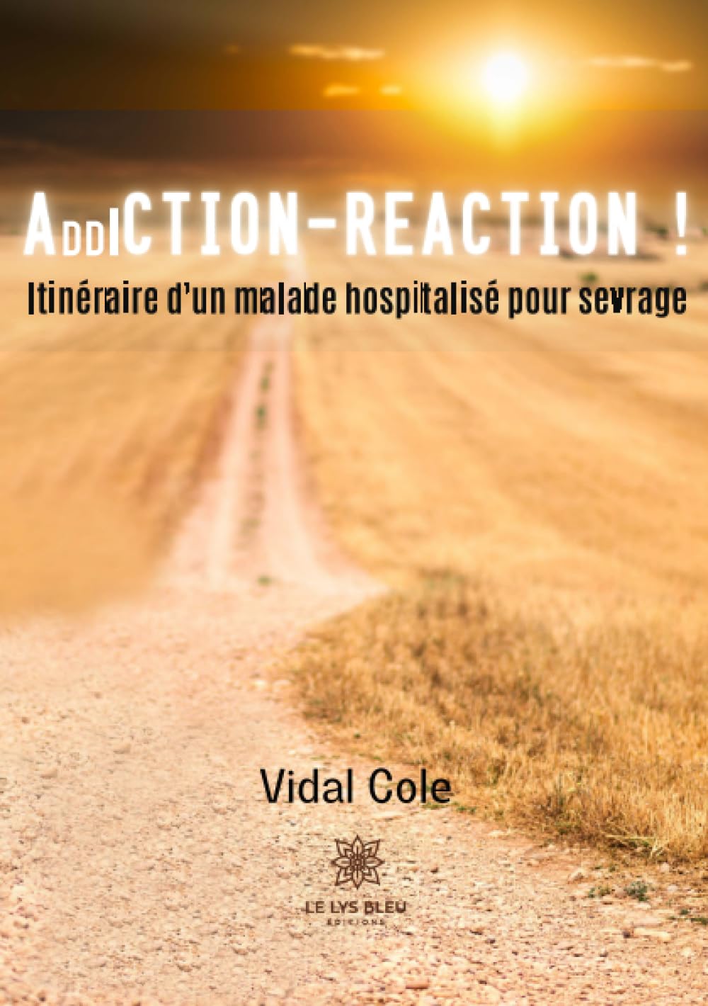 Addiction-Réaction ! - Itinéraire d'un malade hospitalisé pour sevrage 9791037747020