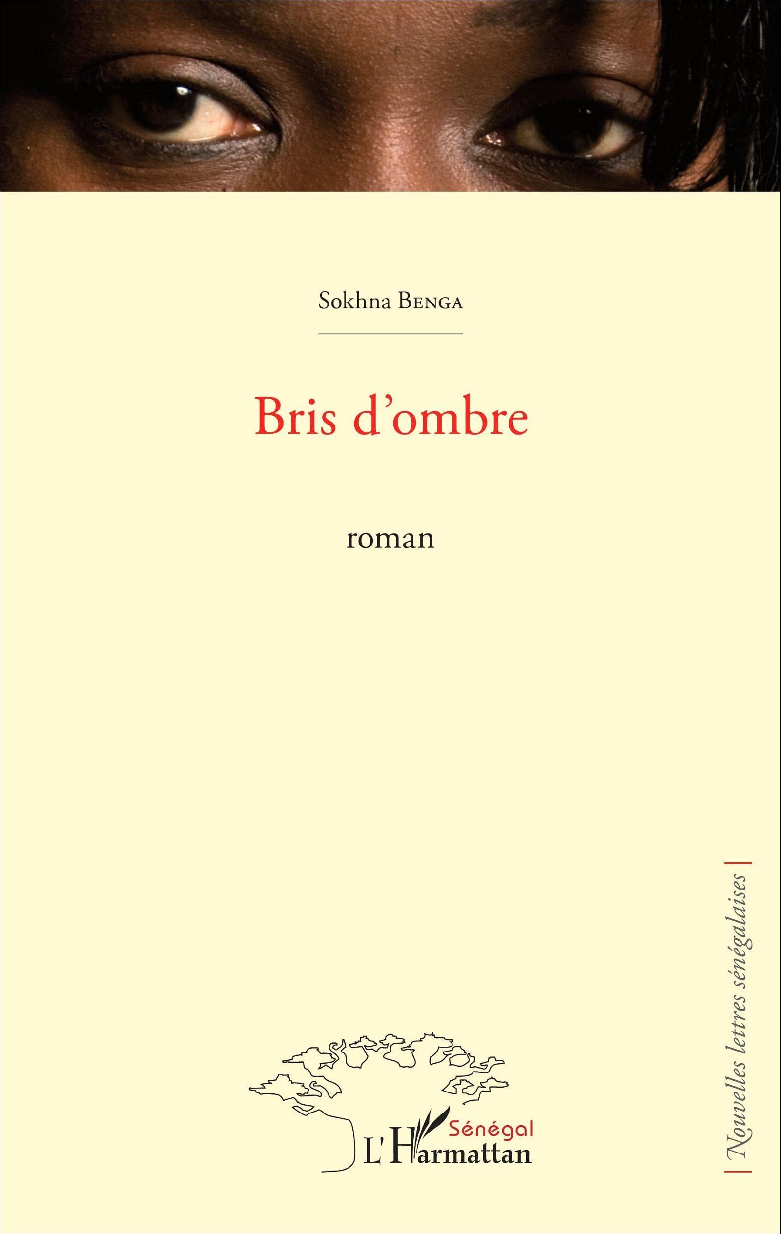 Bris d'ombre: Roman 9782343074658