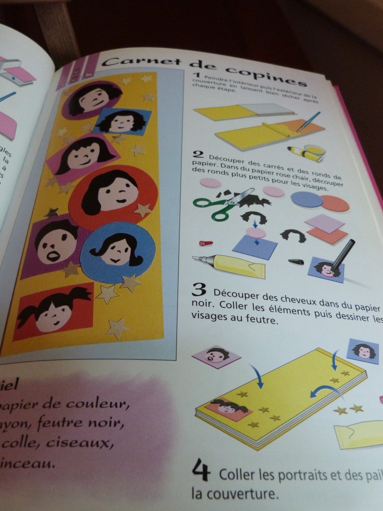 Le Livre des filles : Activité, bricolage, création 9782215071792