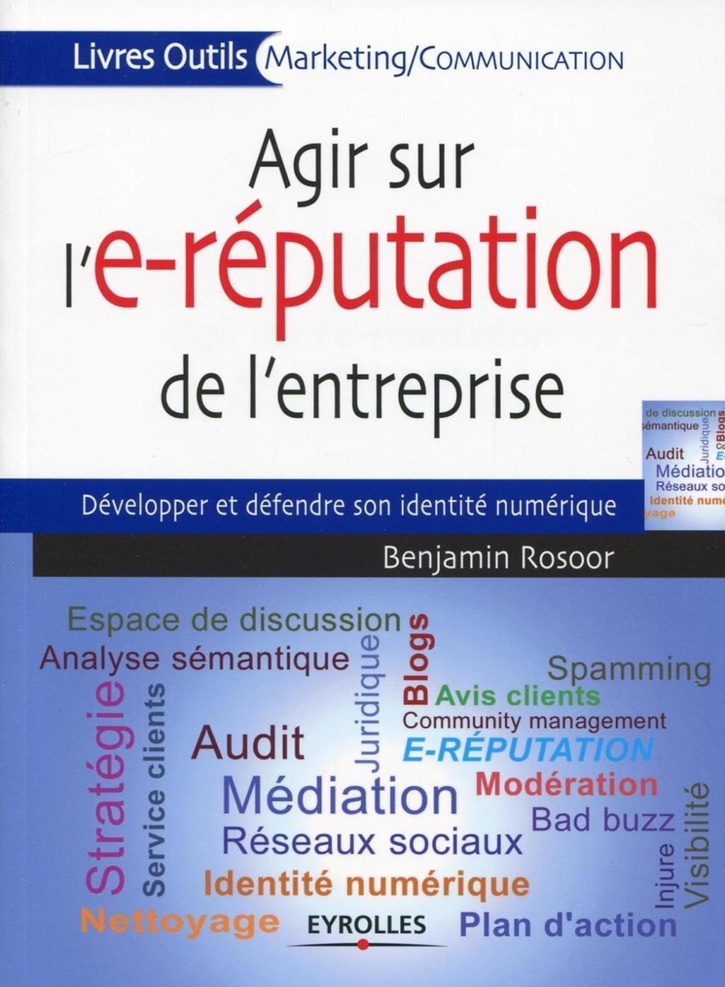 Agir sur l'e-réputation de l'entreprise: Développer et défendre son identité numérique. 9782212553680