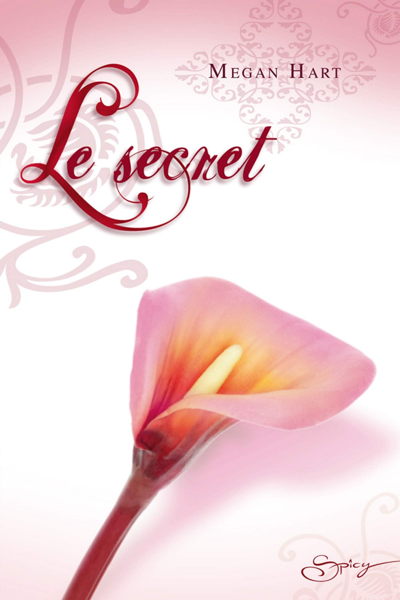Le secret 9782280843911