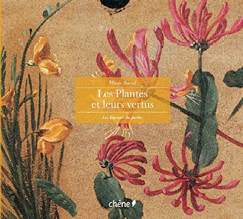 Les plantes et leurs vertus 9782842773816