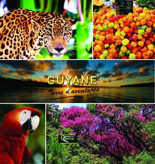 Guyane terre d'aventures : Commune par commune 9782877636513