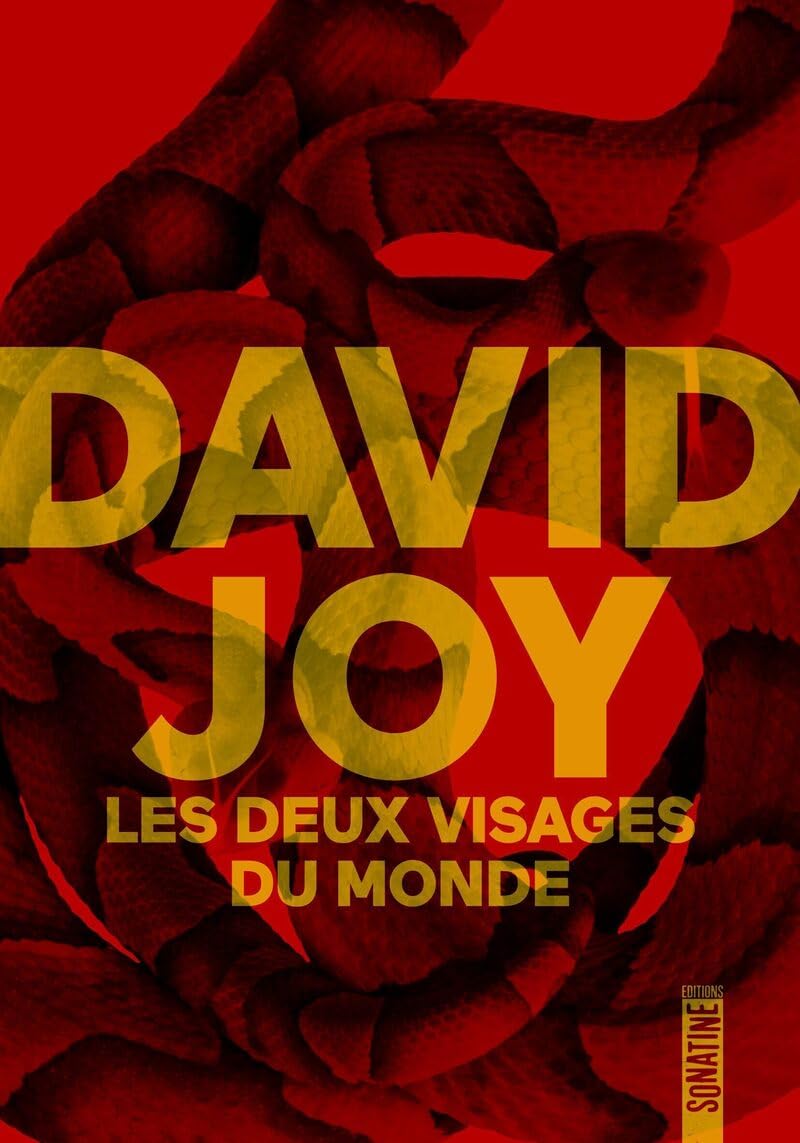Les Deux Visages du monde 9782383991359
