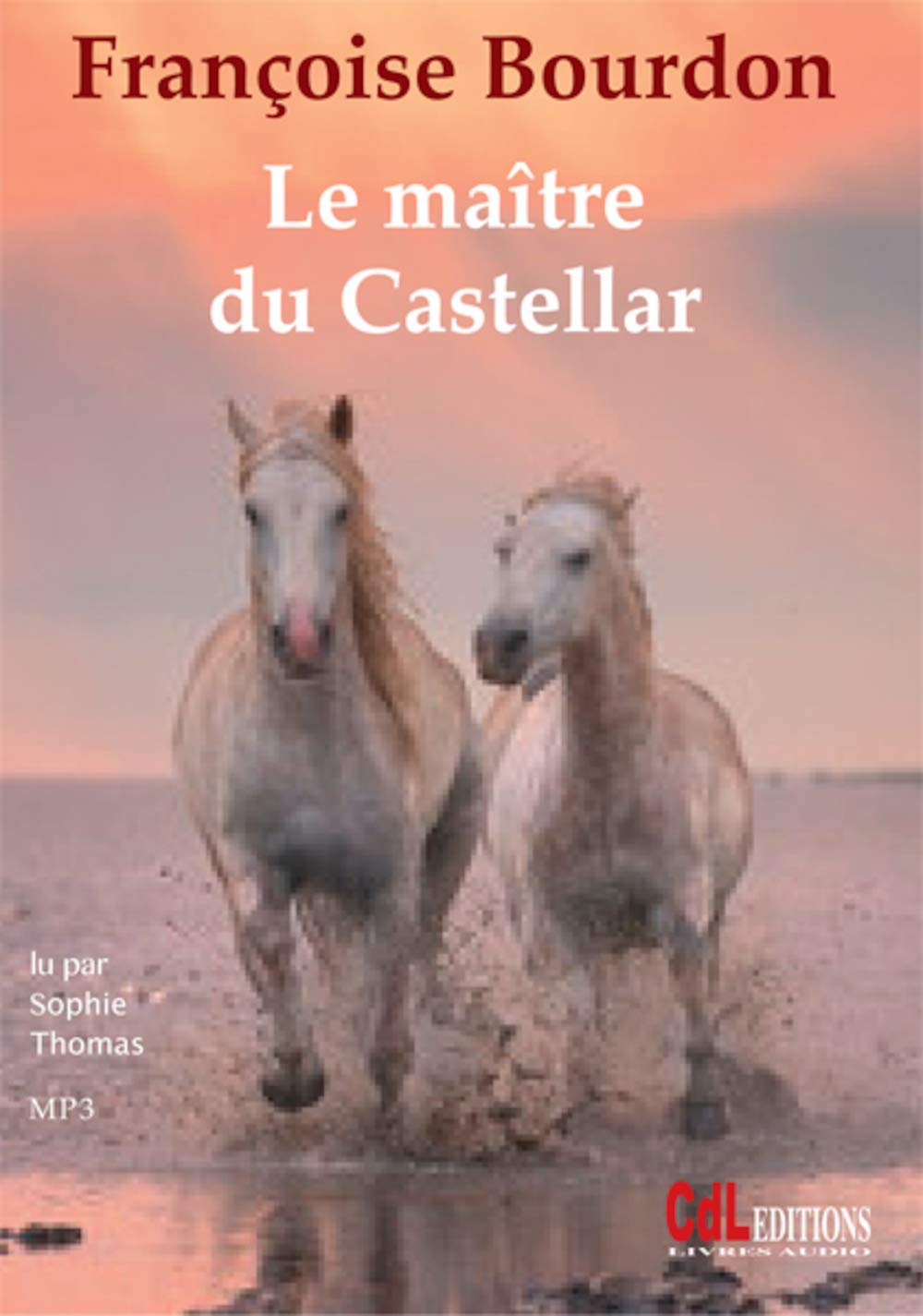 Le Maitre du Castellar 9782353832231