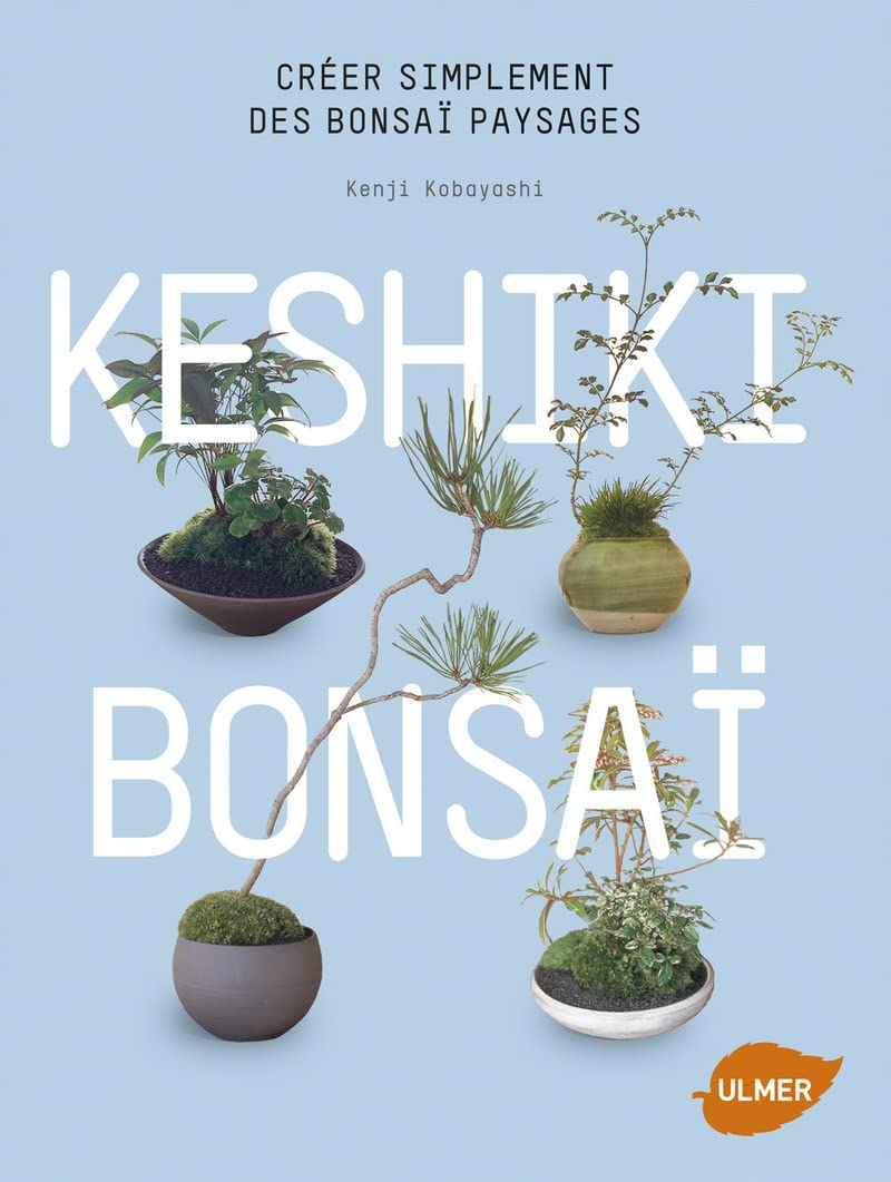 Keshiki Bonsaï. Créer simplement des bonsaï paysages 9782841387038