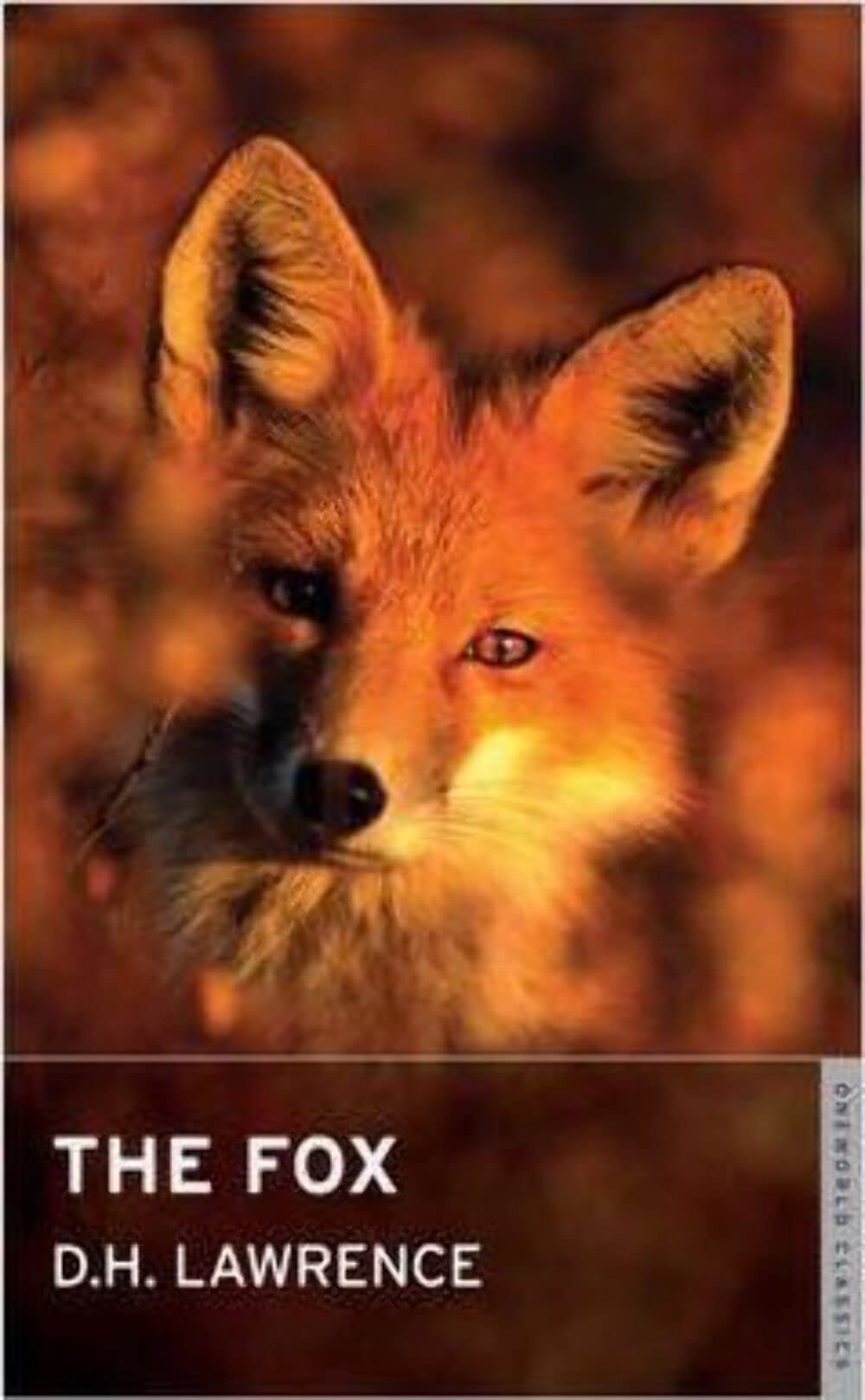 The Fox 9781847490964