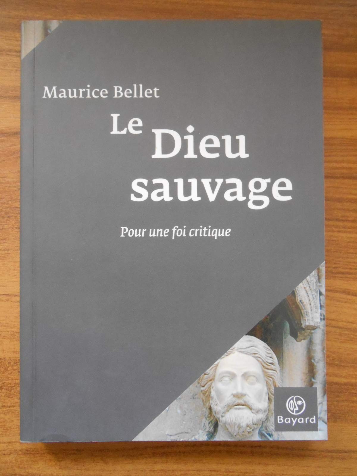 Le Dieu sauvage: Pour une foi critique 9782227477148