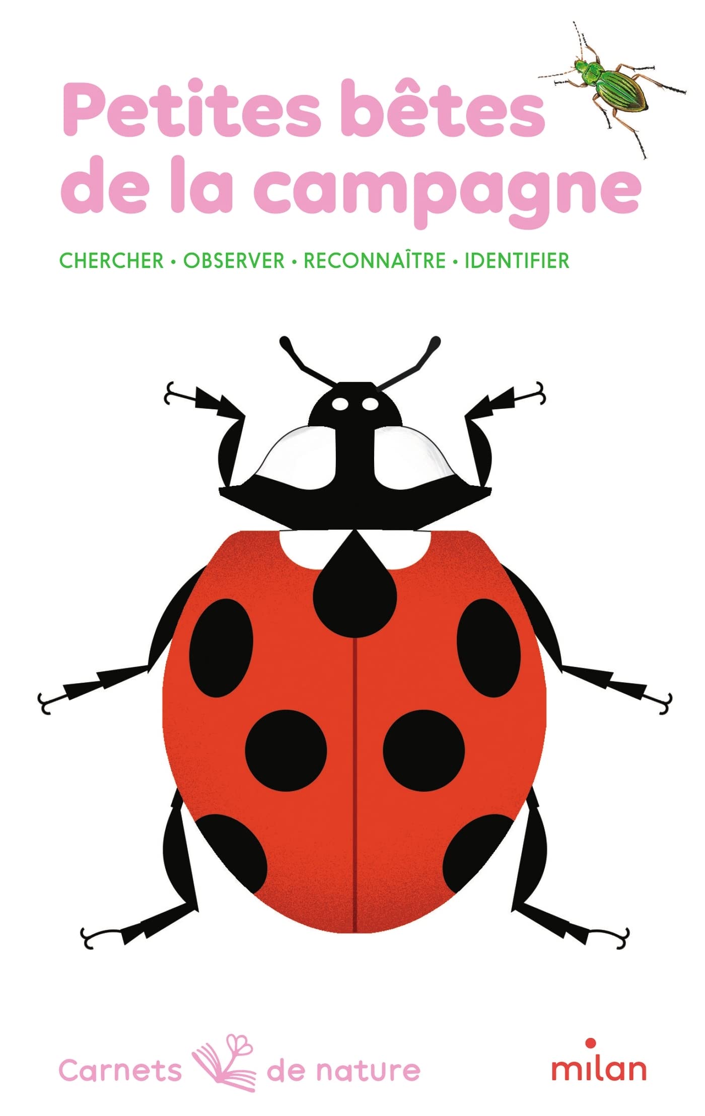 Petites bêtes de la campagne 9782408043506
