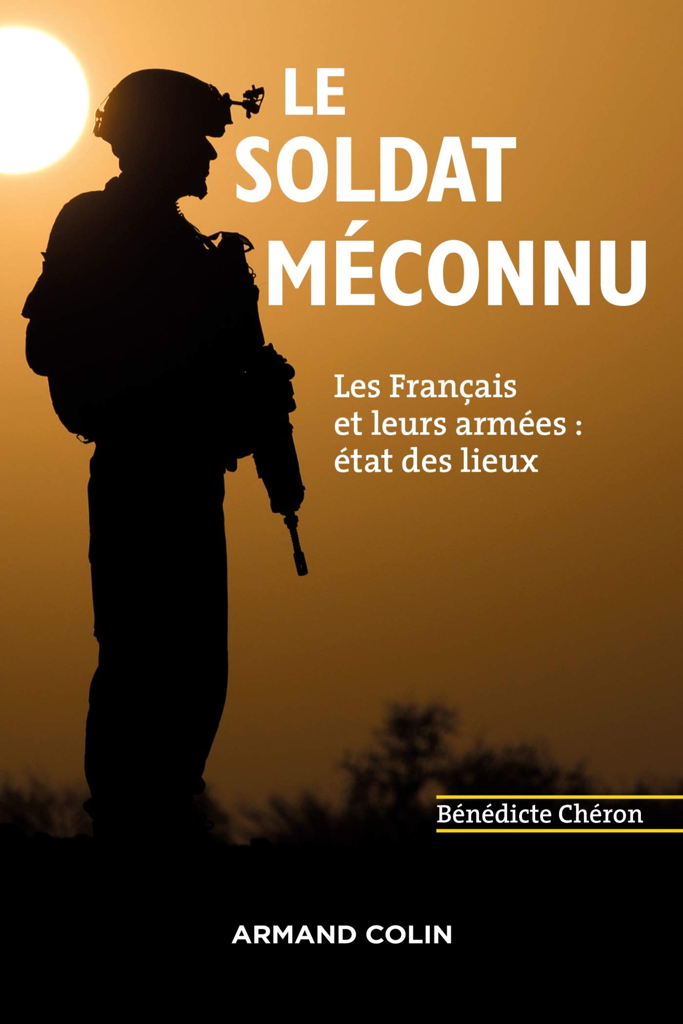 Le soldat méconnu - Les Français et leurs armées : état des lieux - Prix la Plume et l'Epée - 2019: Les Français et leurs armées : état des lieux 9782200622978