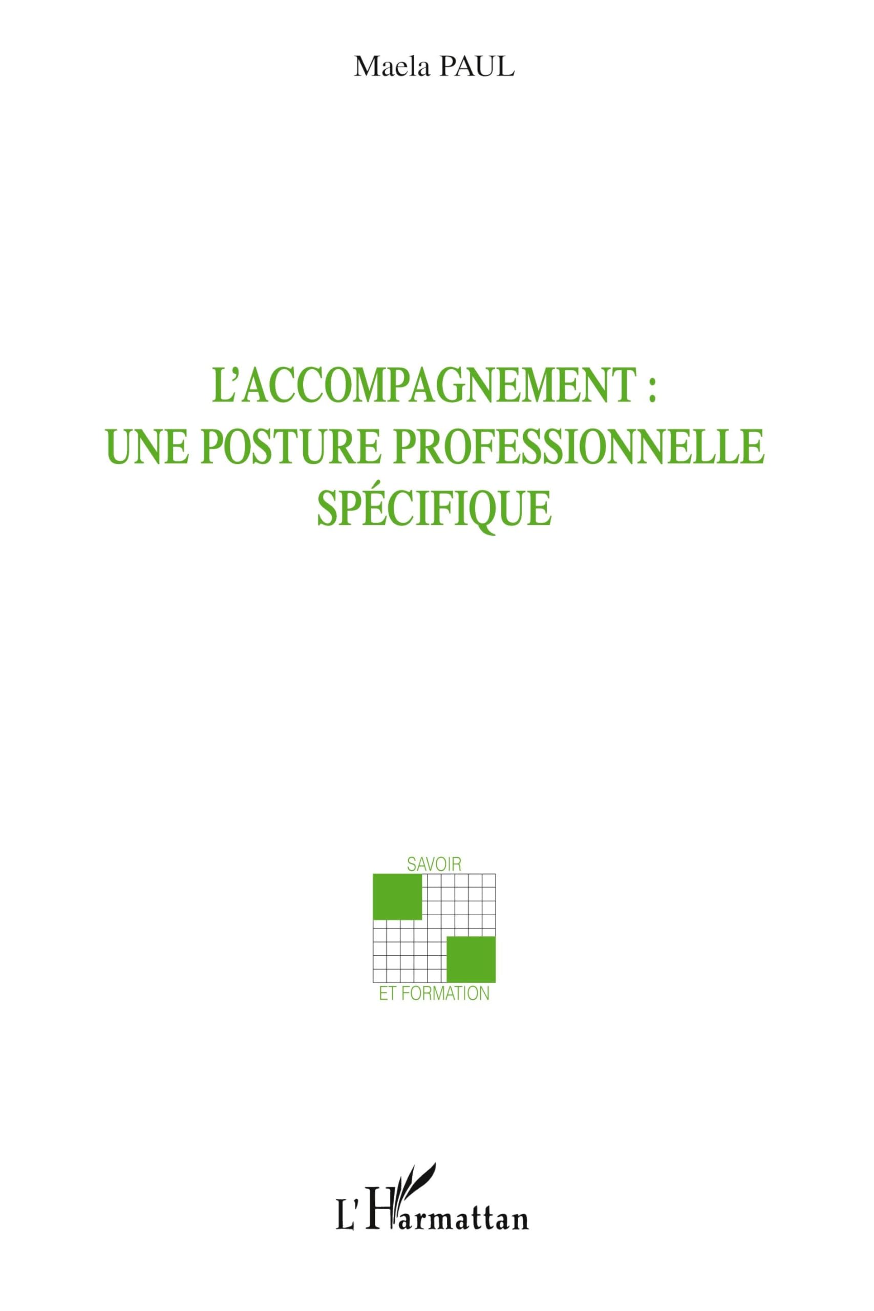 L'accompagnement : une posture professionnelle spécifique 9782747574945