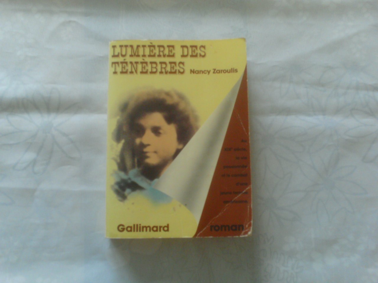 Lumière des ténèbres 9782070209705