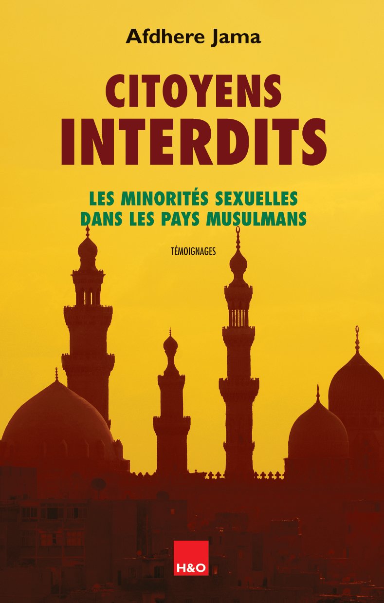 Citoyens interdits : Les minorités sexuelles dans les pays musulmans 9782845471986