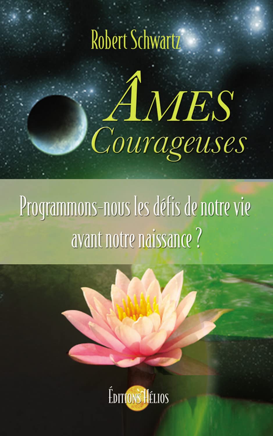 Âmes Courageuses - Programmons-nous les défis de notre vie avant notre naissance ? 9782880633622