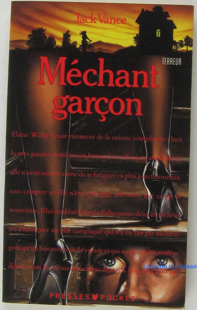 Méchant garçon 9782266025461
