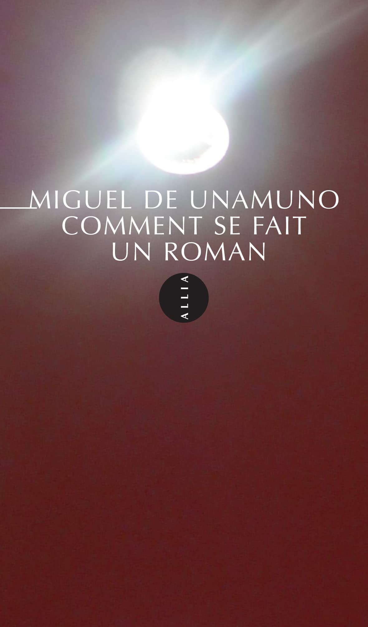 Comment se fait un roman 9782844853608