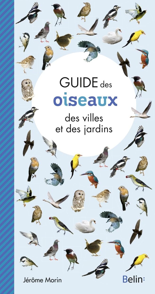 Guide des oiseaux des villes et des jardins 9782701146720