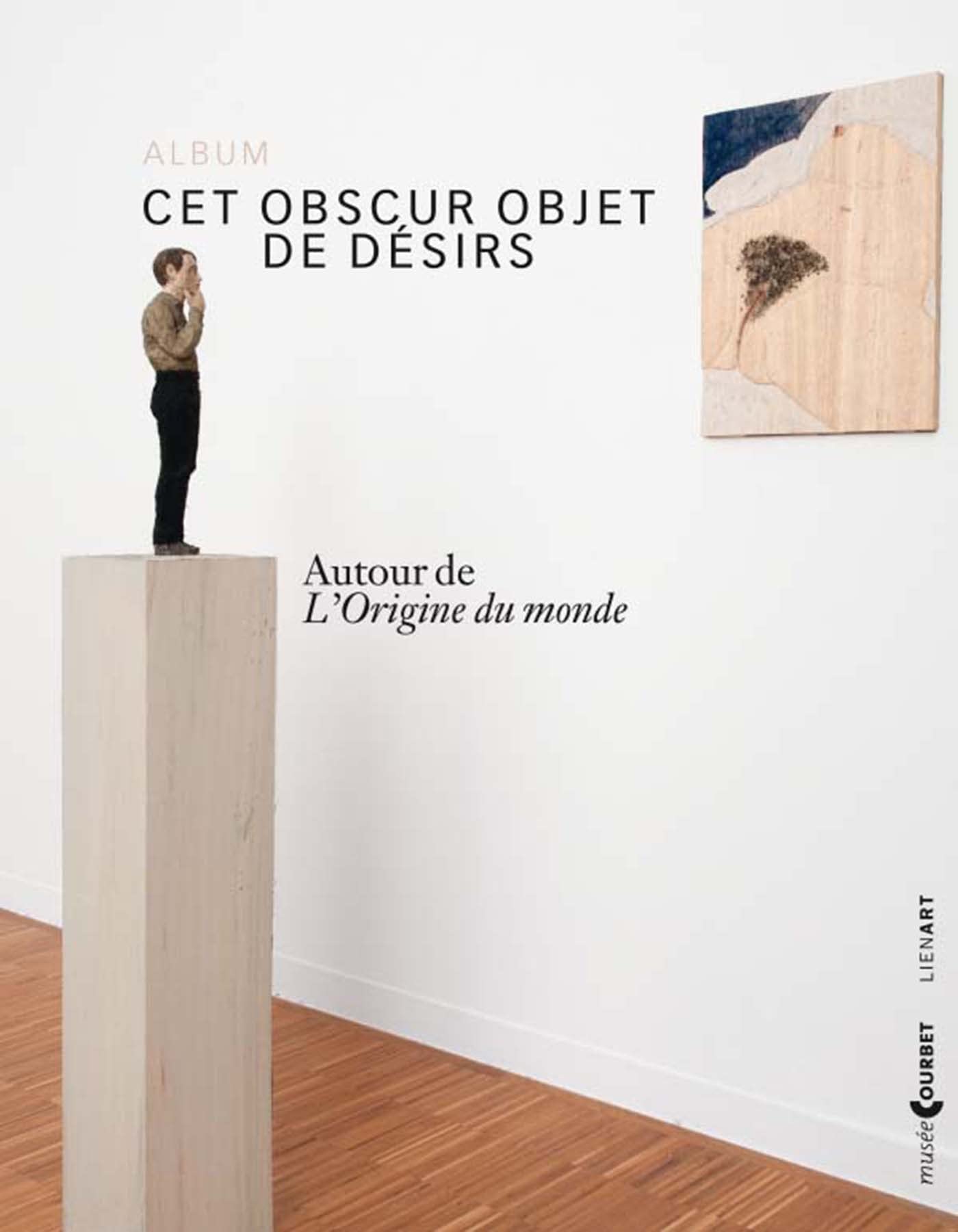 ALBUM CET OBSCUR OBJET DE DESIRS AUTOUR DE L ORIGINE DU MOND 9782359061154