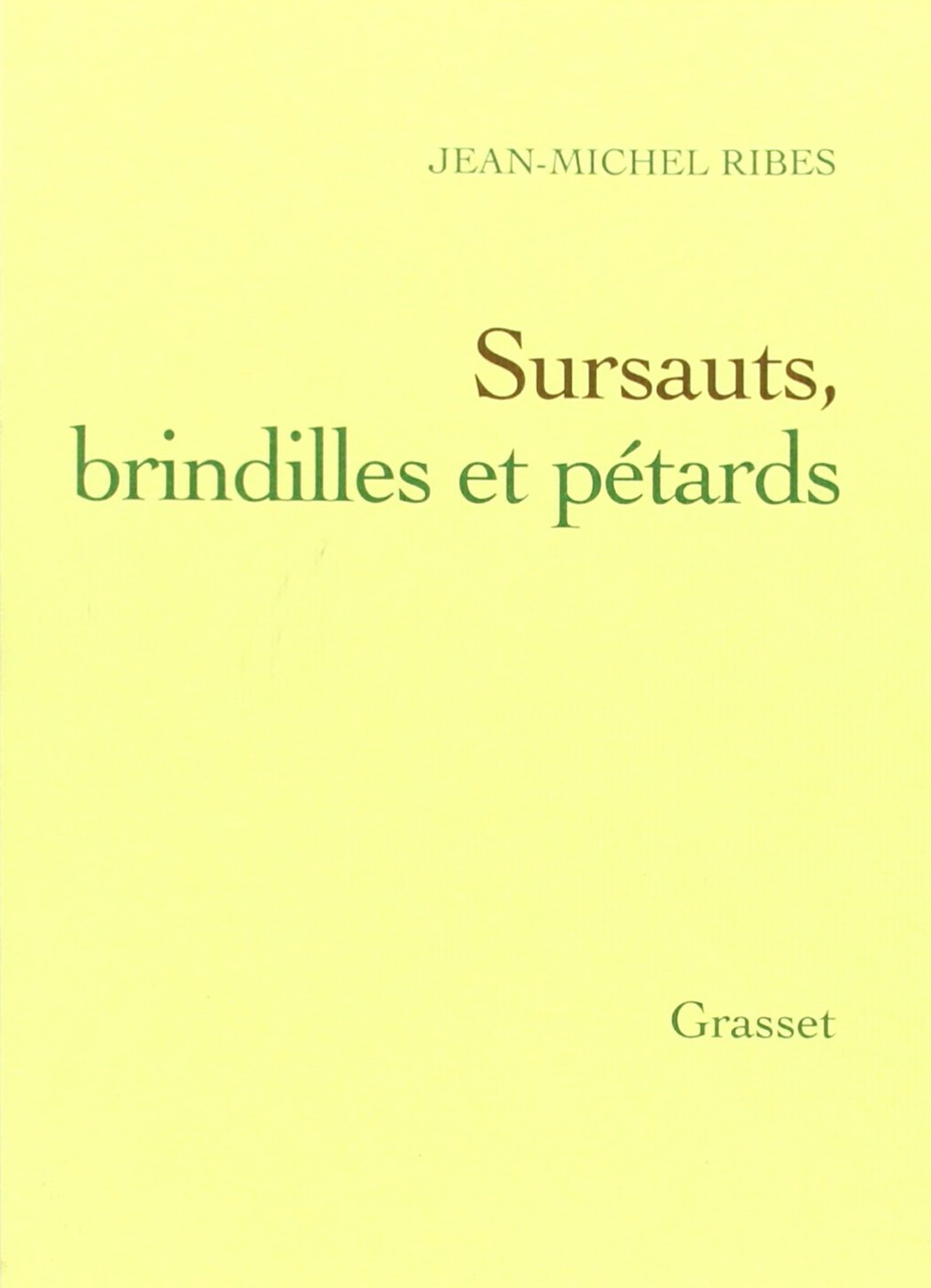 SURSAUTS BRINDILLES ET PETARDS 9782246662013