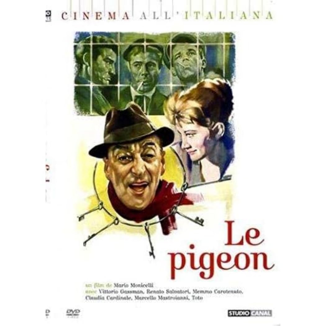 Le pigeon - [DVD] 3259130236309