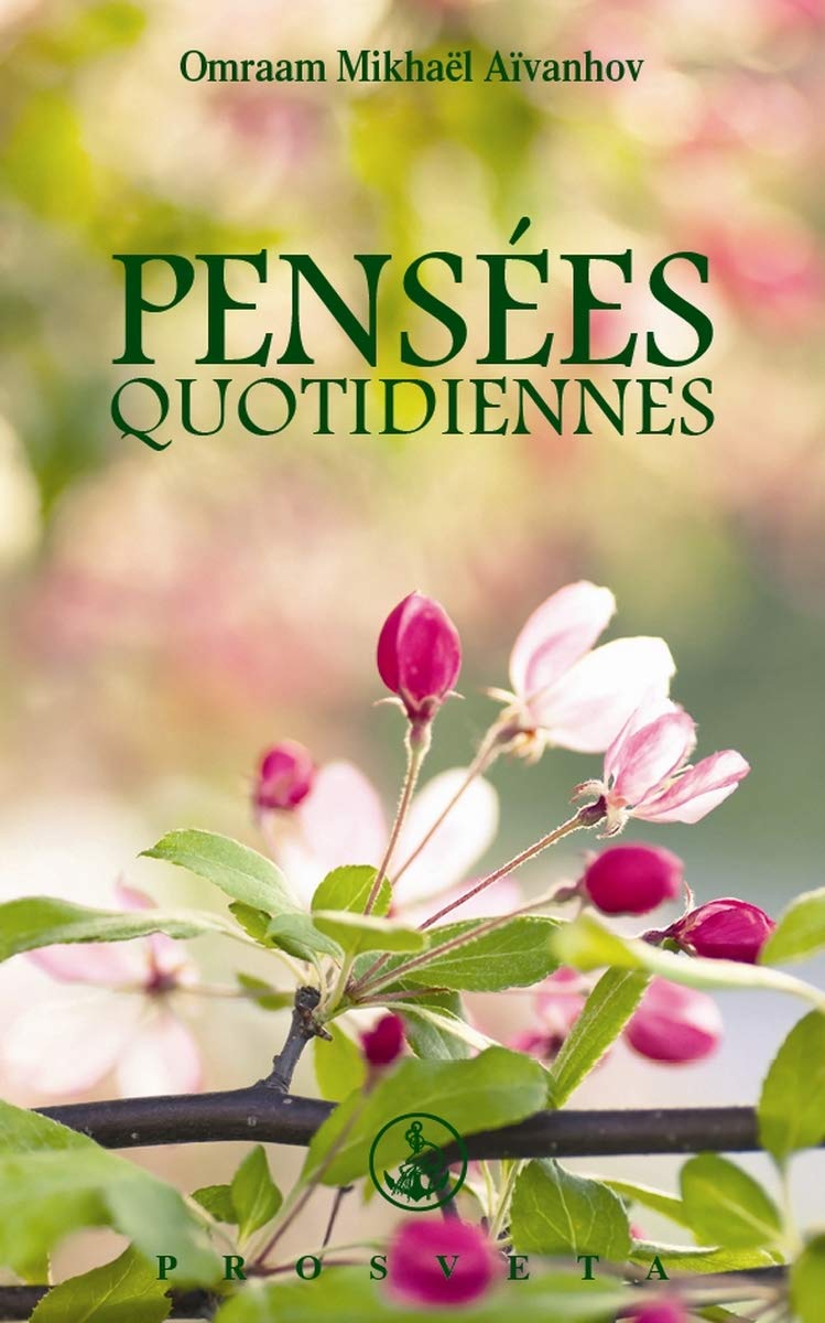 Pensées Quotidiennes 2013 9782818400395