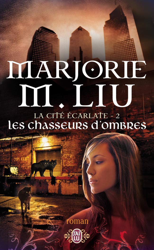 Les chasseurs d'ombres 9782290008294