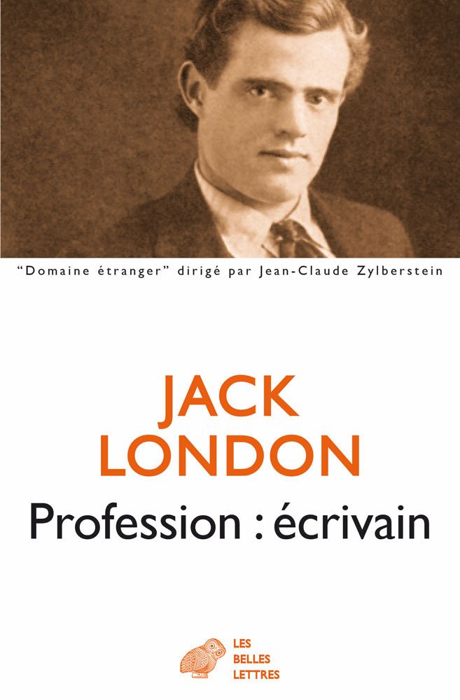 Profession : écrivain 9782251210261