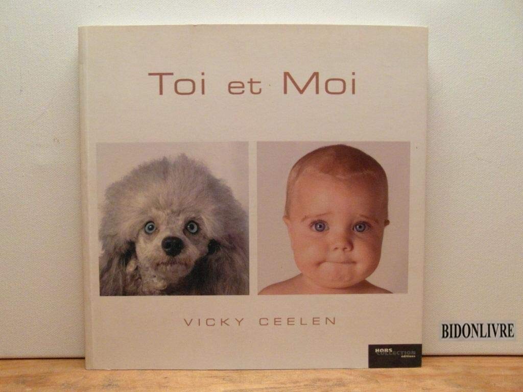 Toi et moi 9782258063853