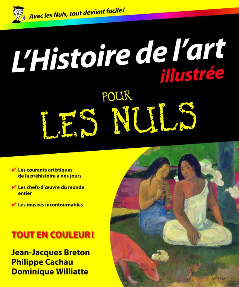 Histoire de l'art illustrée pour les Nuls 9782754004930