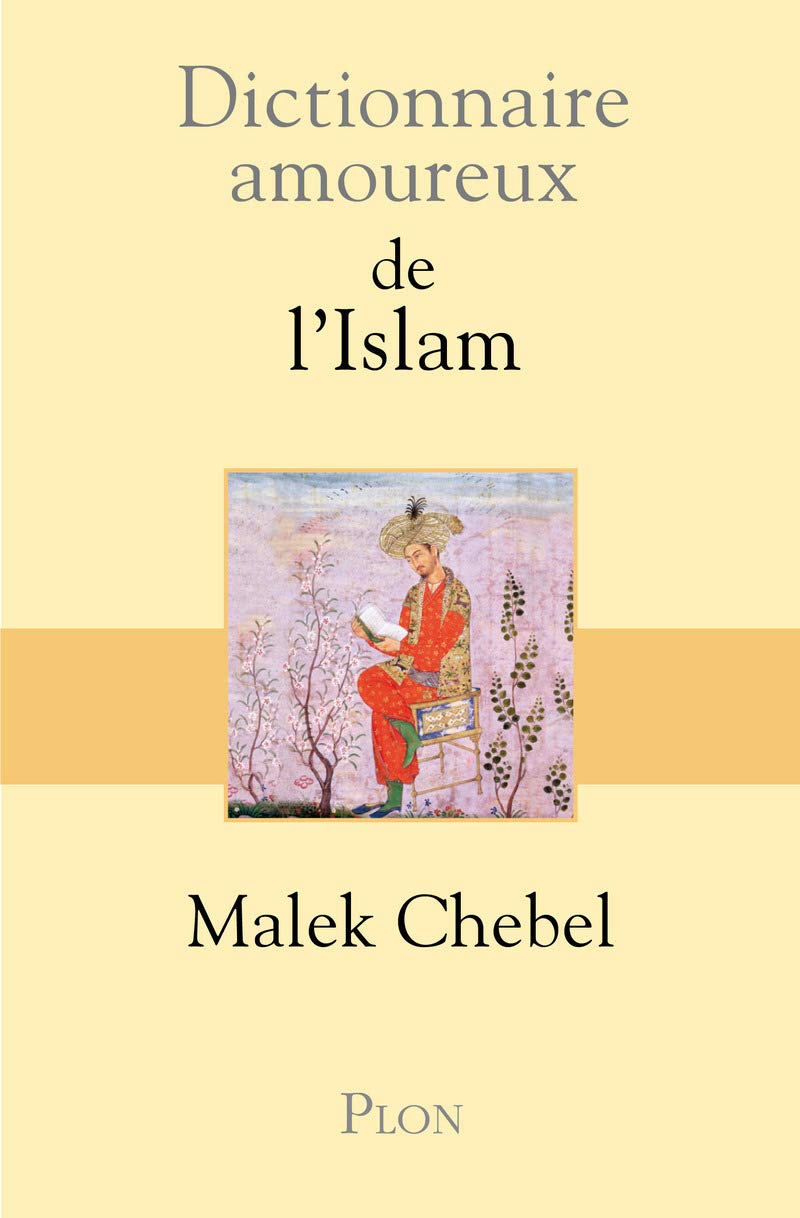 Dictionnaire amoureux de l'islam 9782259197991