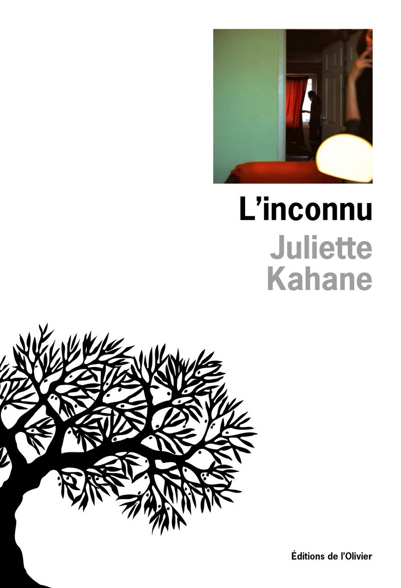 L'Inconnu 9782823600841