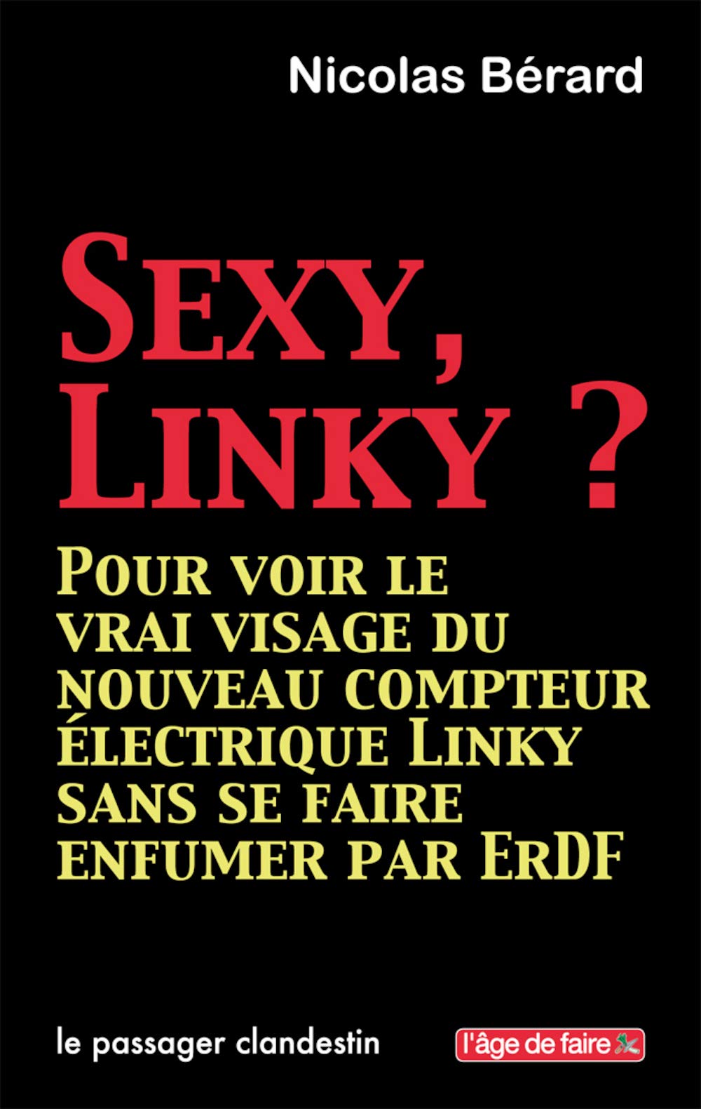 Sexy Linky ? : Pour voir le vrai visage du nouveau compteur électrique Linky sans se faire enfumer par ErDF 9782369350712