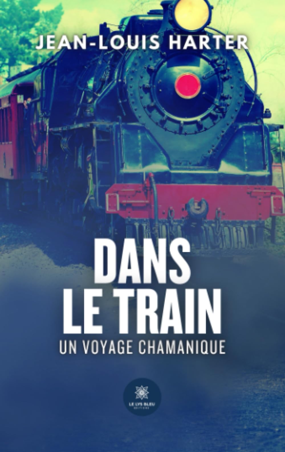 Dans le train 9791042272807