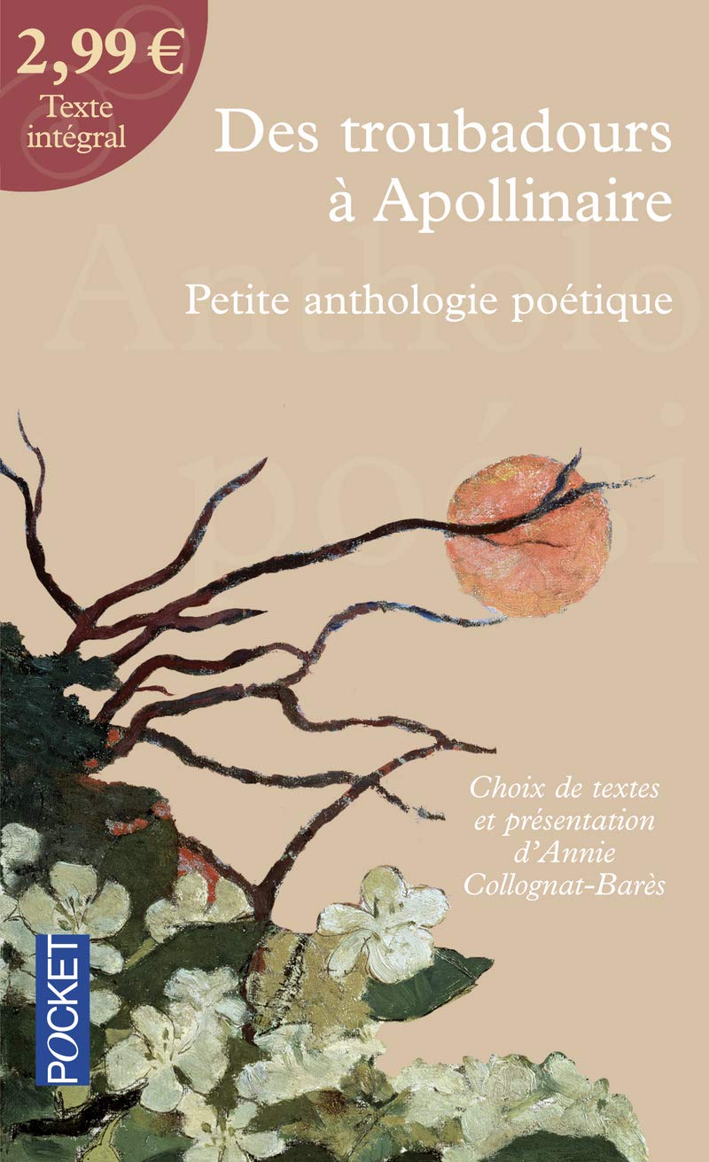 Des troubadours à Apollinaire 9782266192279