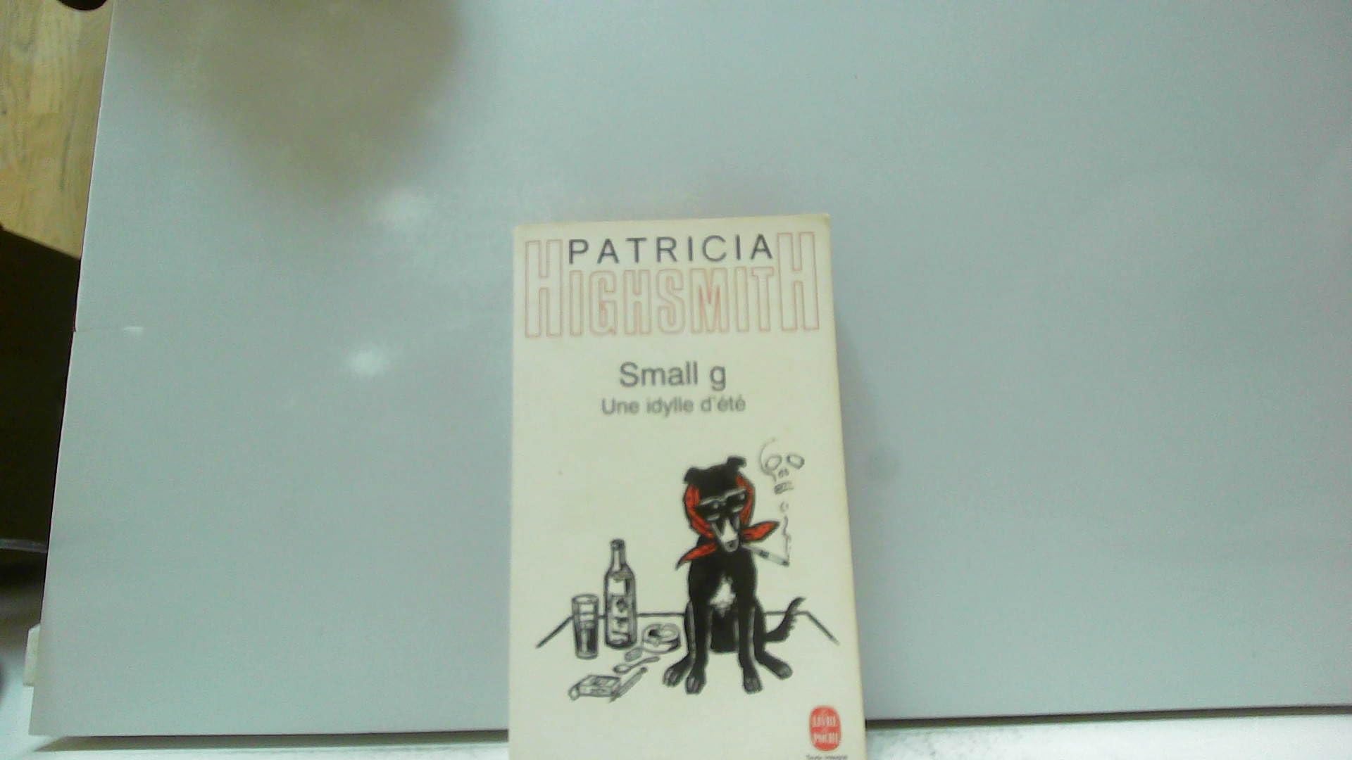 Small g 9782253068624