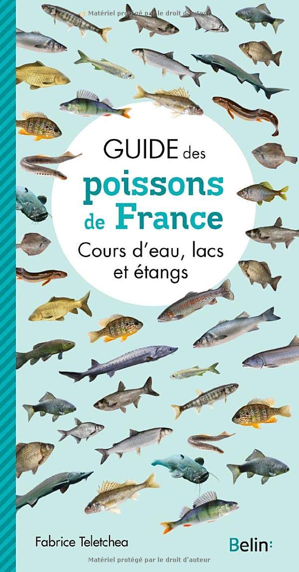 Guide des poissons de France: Cours d'eau, lacs et étangs 9782410017373
