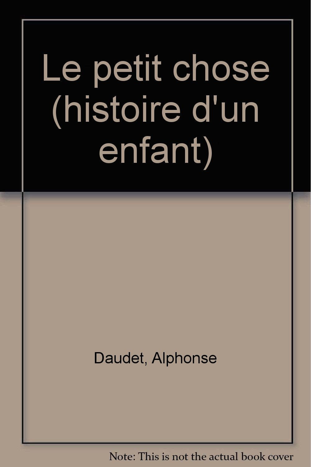 Le Petit chose: Histoire d'un enfant 9782070501045