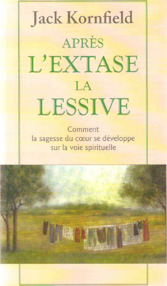Après l'extase, la lessive 9782710324041